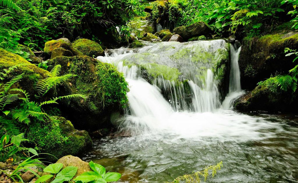 Мартвильский каньон