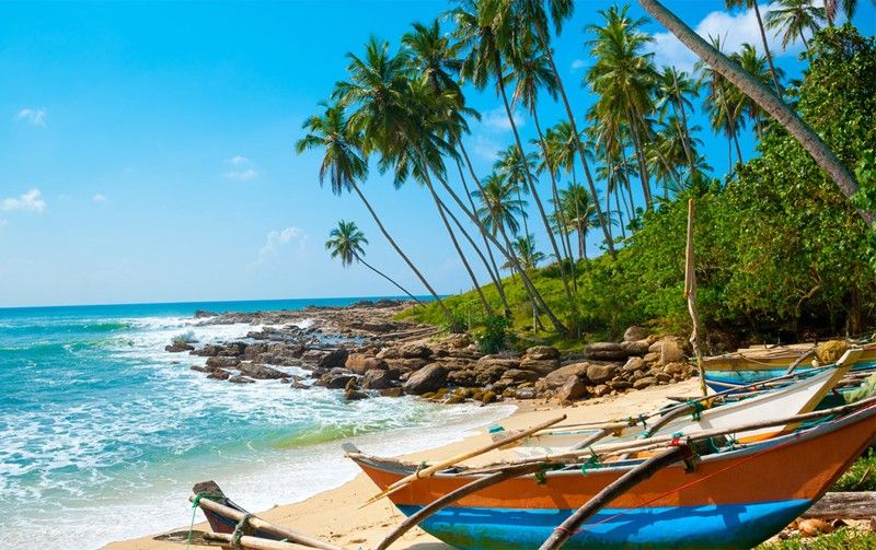 შრი ლანკა იმოგზაურეთ Gulf Air -თან ერთად კომფორტულად თბილი ქვეყნების მიმართულებით ✈