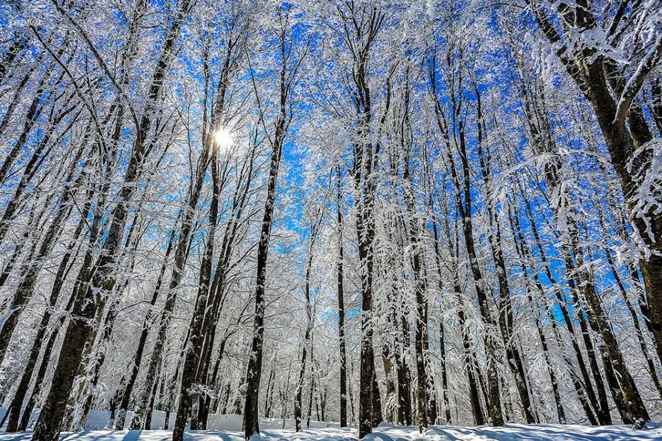 სასწრაფოდ! საბადური ! ! "მორჩენილი უკანასკნელი ადგილი!