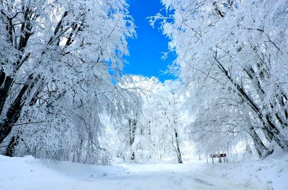 სასწრაფოდ! საბადური ! ! "მორჩენილი უკანასკნელი ადგილი!