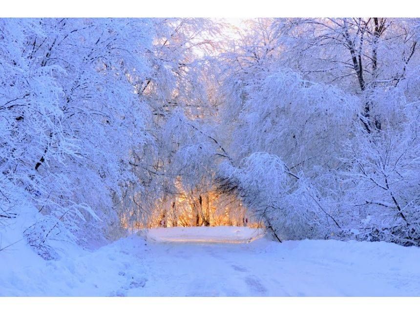 სასწრაფოდ! საბადური ! ! "მორჩენილი უკანასკნელი ადგილი!