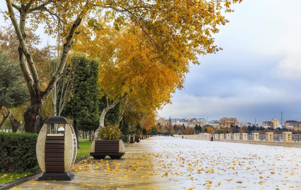 ვალენტინობა ბაქოში - თებერვალს