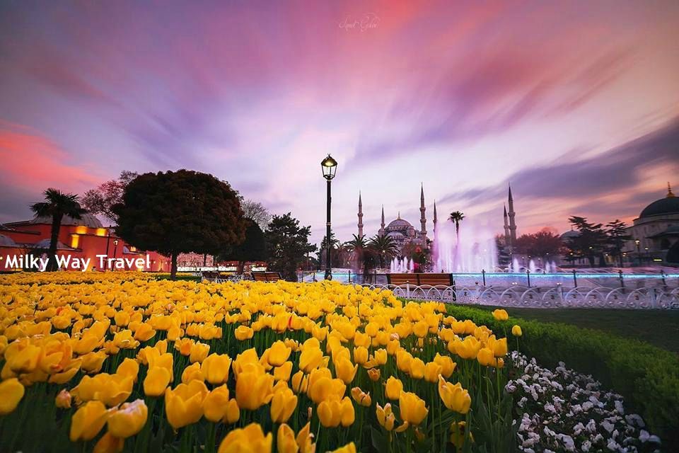 სტამბული ტიტების ფესტივალზე ❤