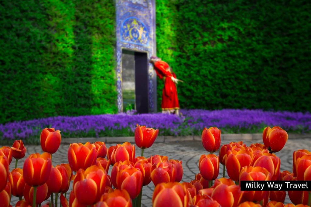 სტამბული ტიტების ფესტივალზე ❤