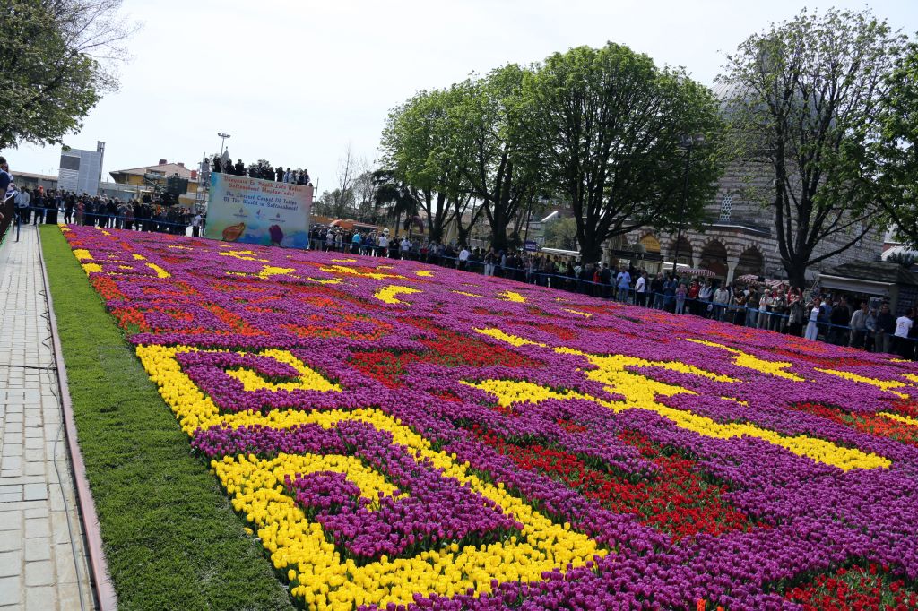 ტიტების ფესტივალი
