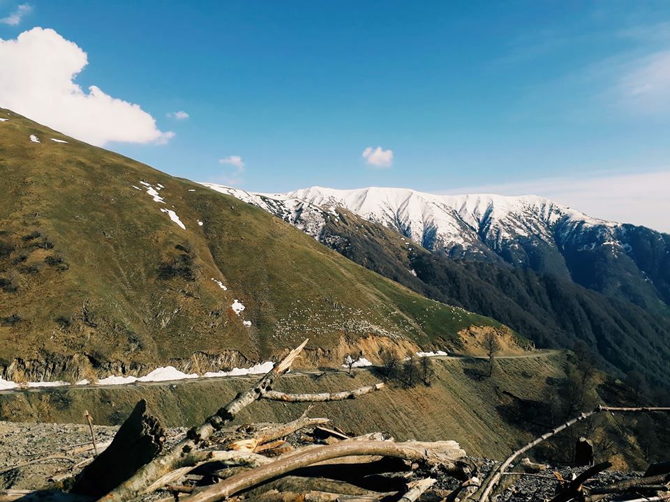 იმოგზაურეთ გაზაფხულის თუშეთში, ტურები ეწყობა ყოველ პარასკევს-შაბათს-კვირას