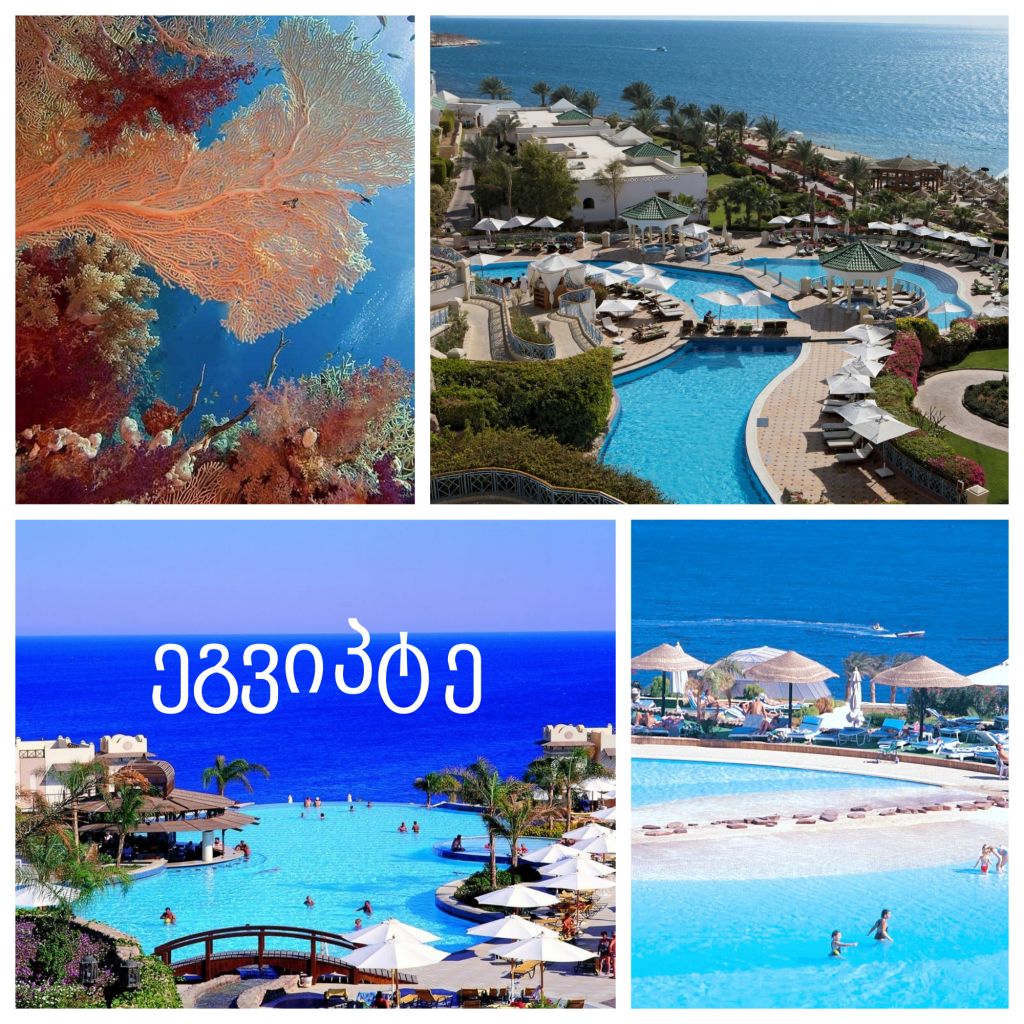 სრული ღამე ღამის ფასად