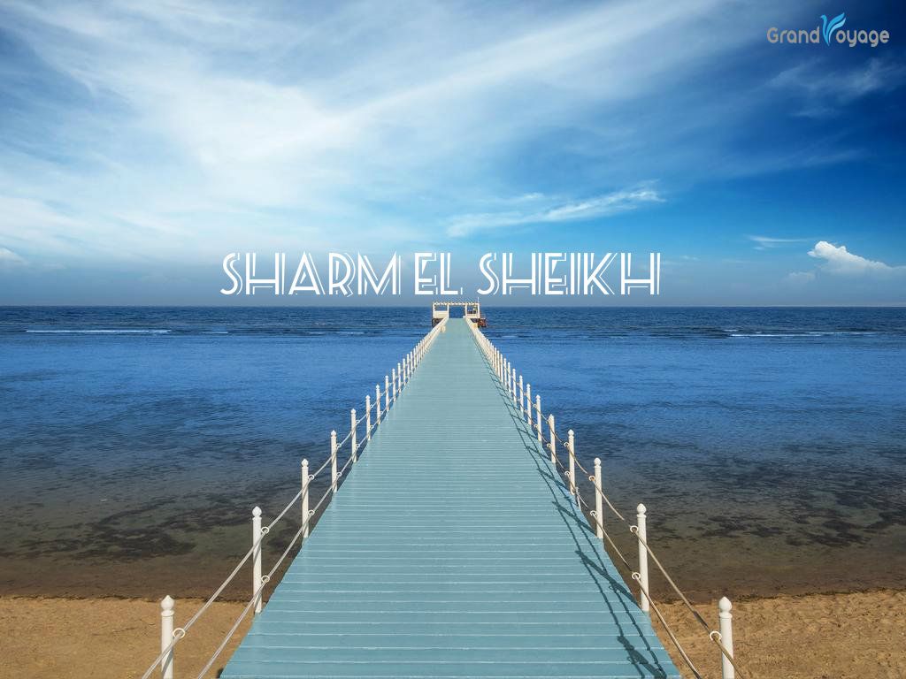 გაიფერადე ზამთარი შარმში!