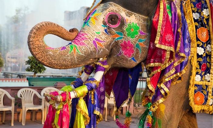 ჰოლი - ყოველწლიური ფერების ფესტივალი ინდოეთში!