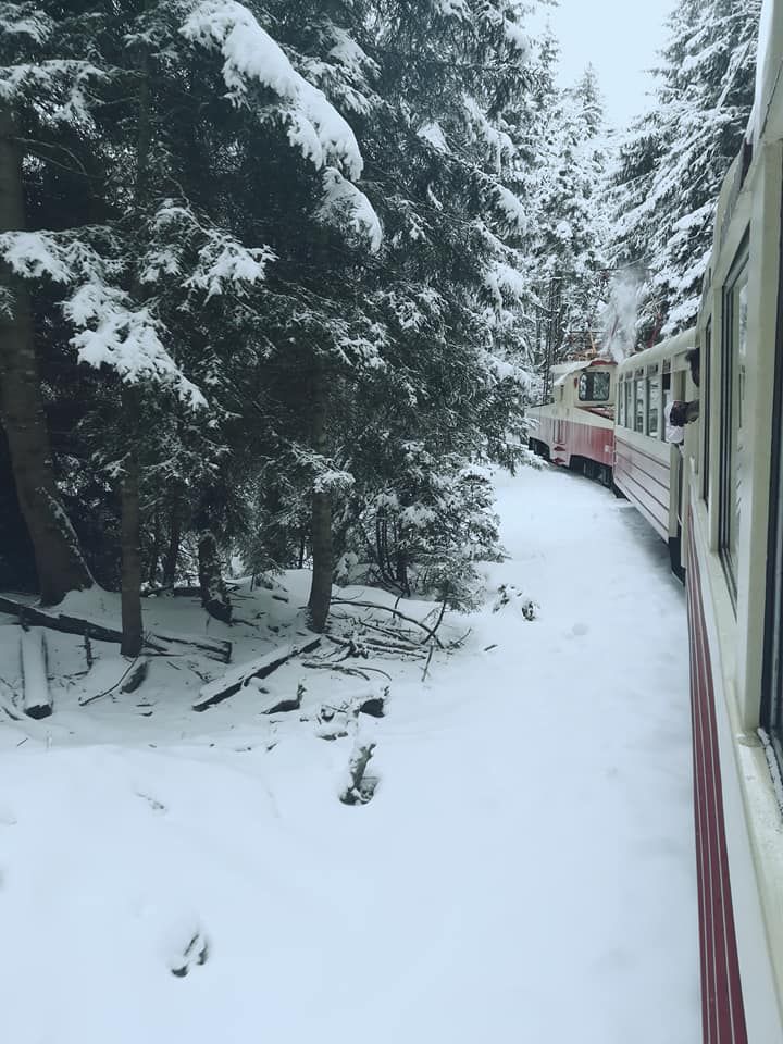 ბაკურიანი (კუკუშკით) - თებერვალი, კვირა