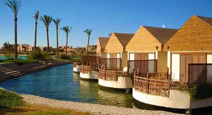 დღის აქცია!!! ჰურგადა თქვენზე მორგებულ ფასად!!!