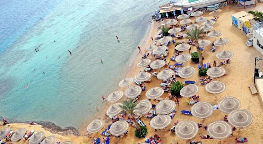 დღის აქცია!!! ჰურგადა თქვენზე მორგებულ ფასად!!!