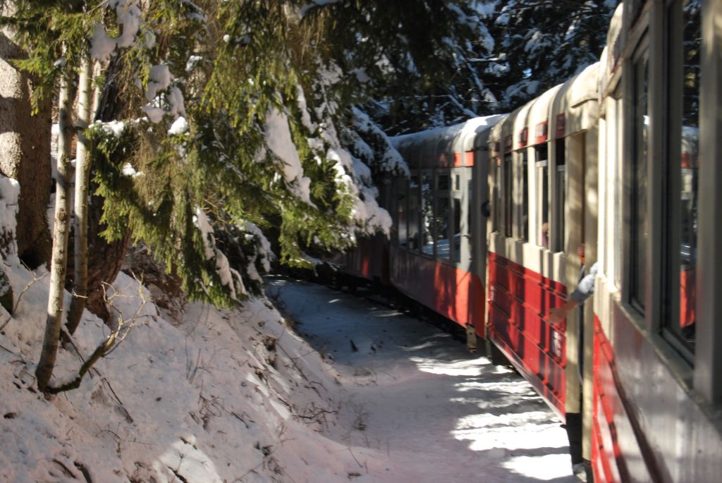 ბაკურიანი და კუკუშკა