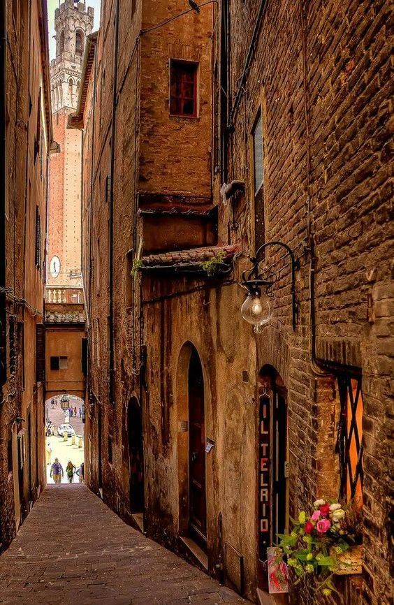 რომი-ბრაჩიანო-ვიტერბო