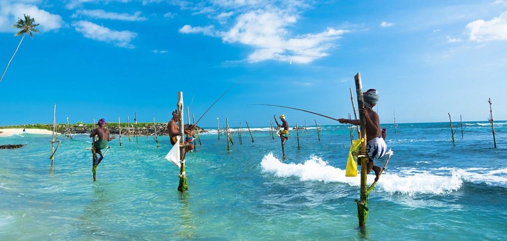 შრი ლანკა – სახელმწიფო კუნძულზე!