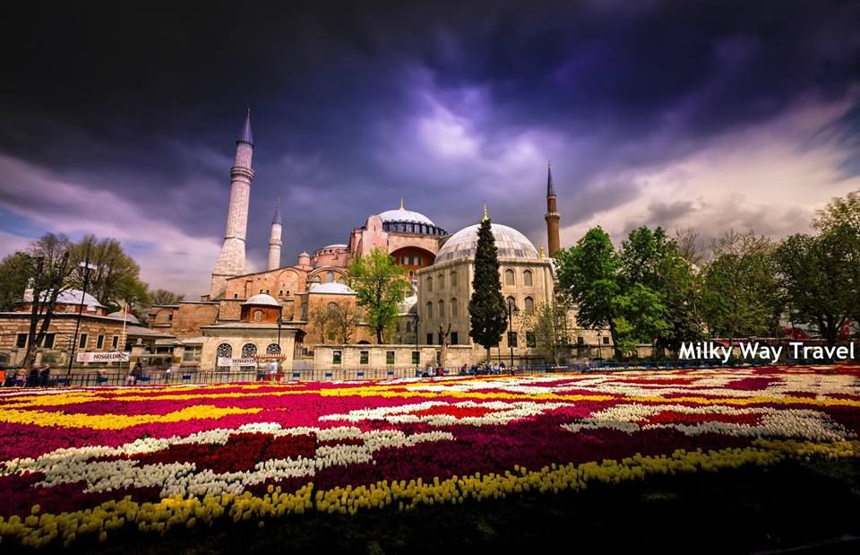 სტამბული ტიტების ფესტივალზე ❤