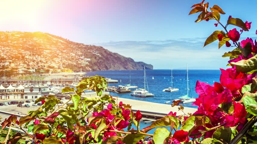 ულამაზესი მადეირა !