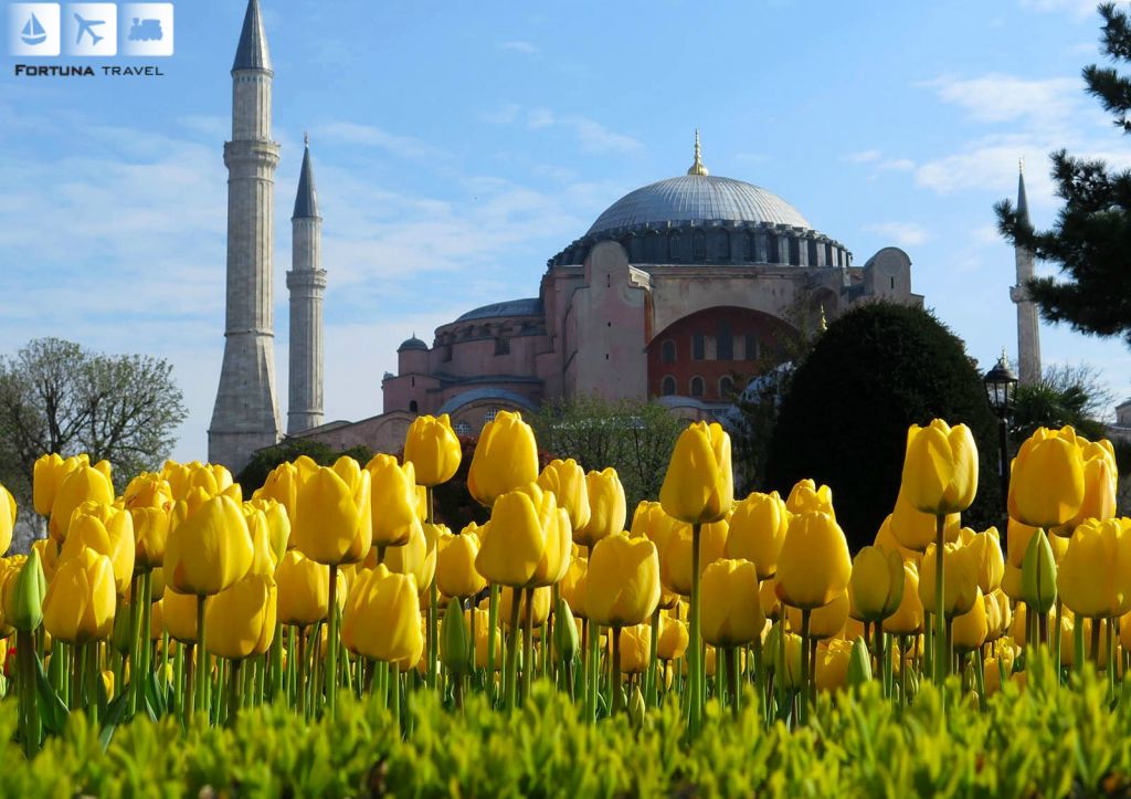 სტამბული /ტიტების ფესტივალი ლარიდან