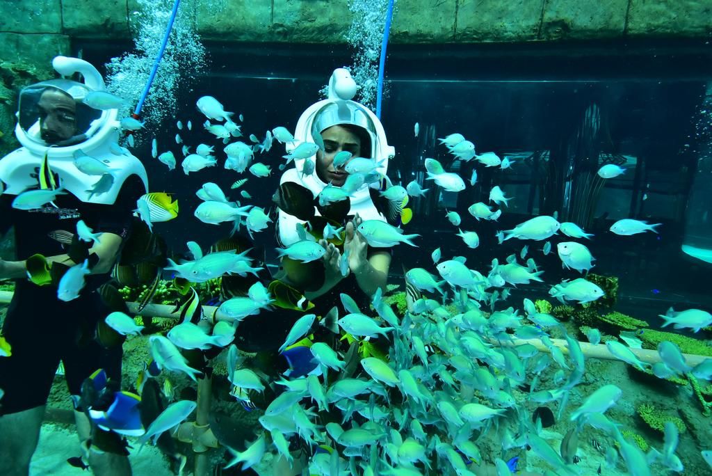 ანტალია /თურქეთი