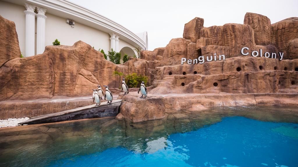 ანტალია /თურქეთი