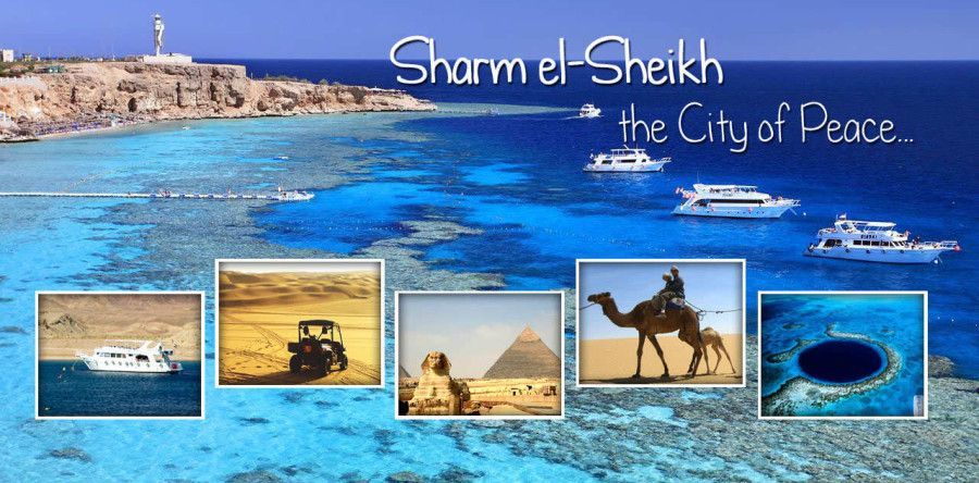 გაუკეთეთ სარვამარტო საჩუქარი ქალბატონებს