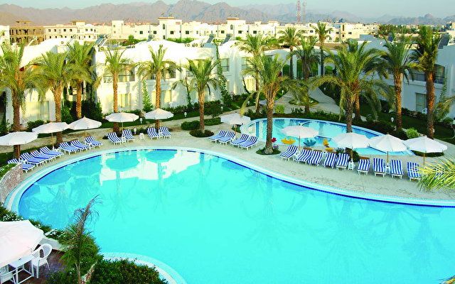 აქცია დღის ბოლომდე !!! ეგვიპტე