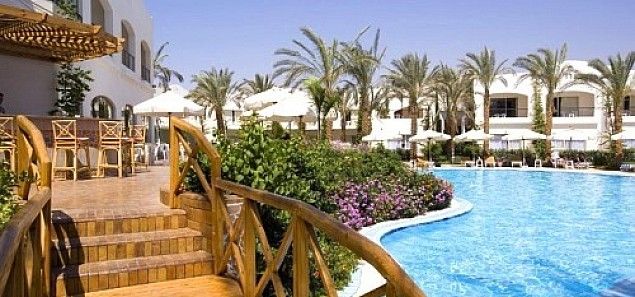 აქცია დღის ბოლომდე !!! ეგვიპტე