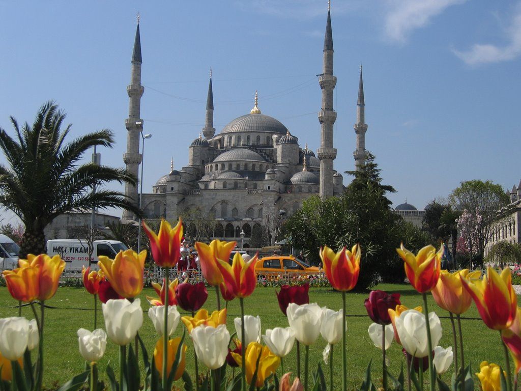 ფერადი სტამბული