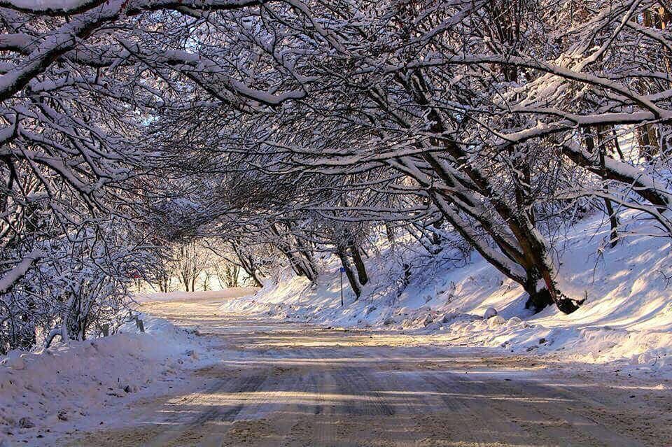 საბადურის ტყე-სიონის წყალსაცავი