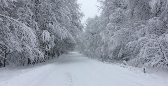 მარტს ზამთრის რაჭა გადათეთრებული შაურის ტბა, შოვი
