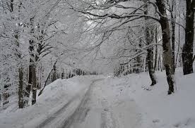 საბადურის ტყე+სიონის წყალსაცავი