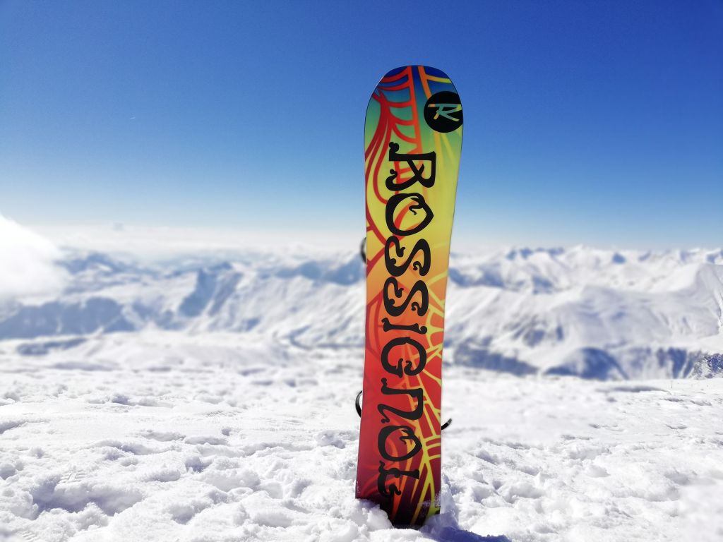 გუდაურის ტური მარტს - ZooM