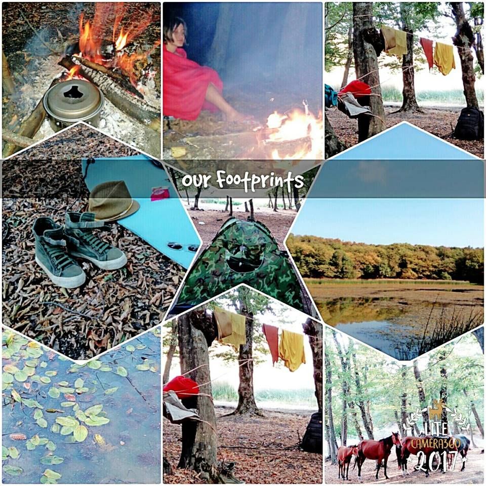 ლაშქრობა თბილისსა და მის შემოგარენში