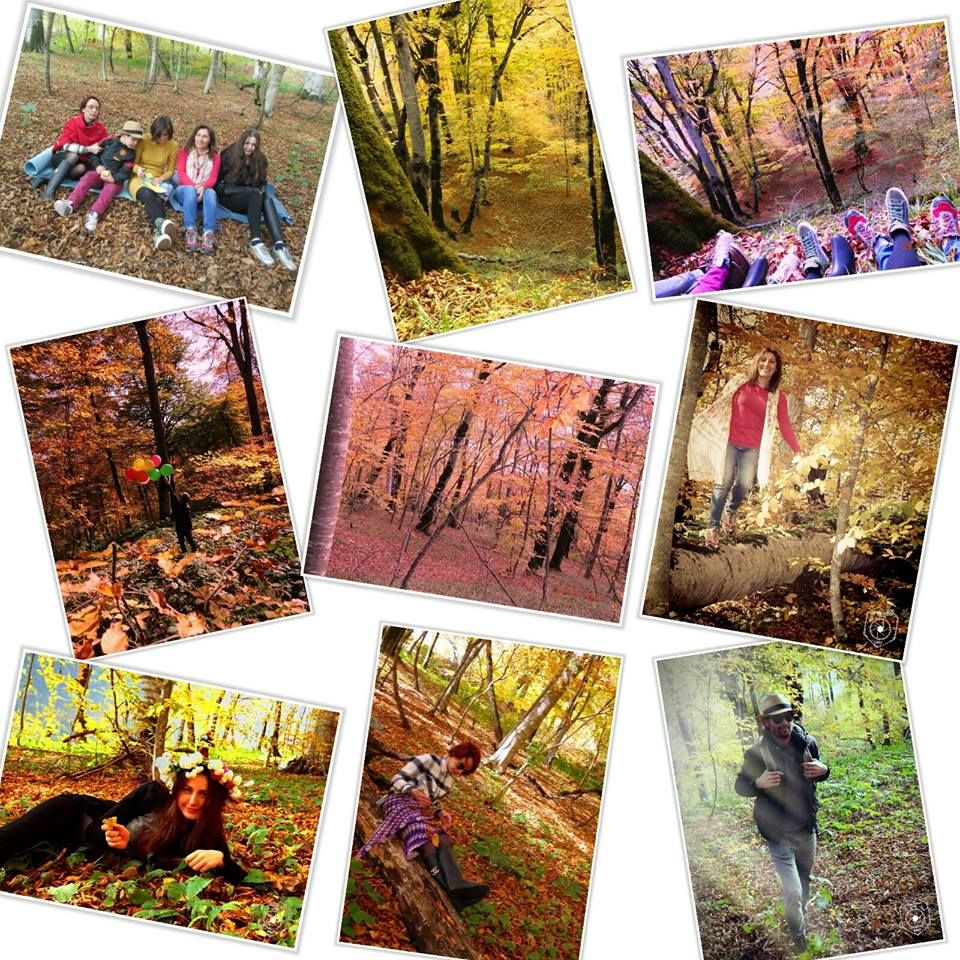 ლაშქრობა თბილისსა და მის შემოგარენში