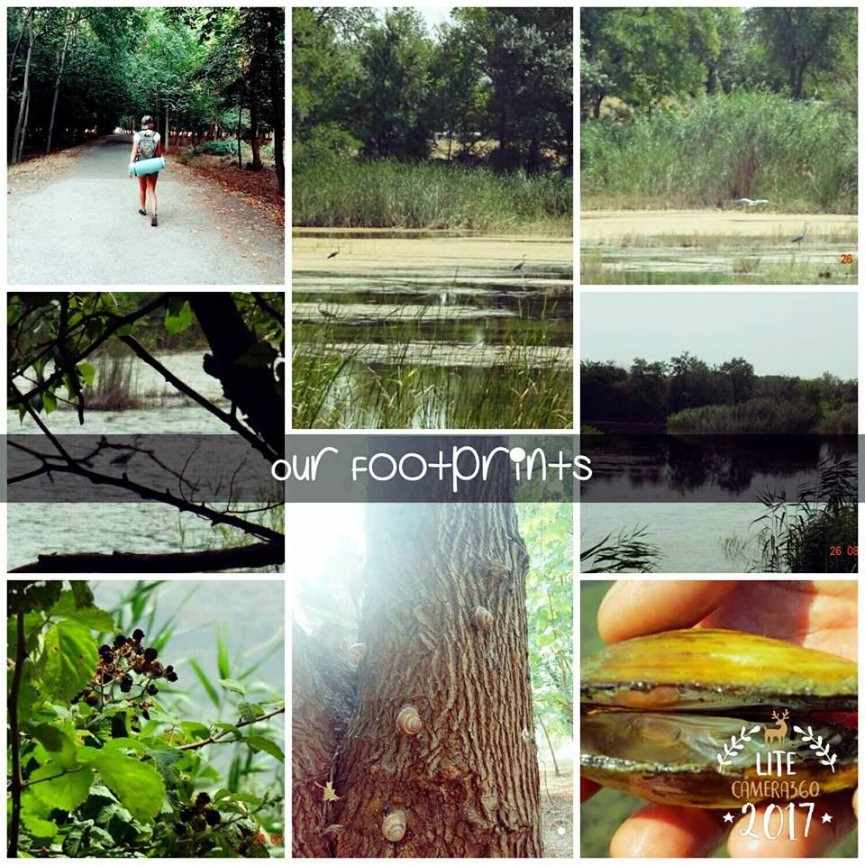 ლაშქრობა თბილისსა და მის შემოგარენში