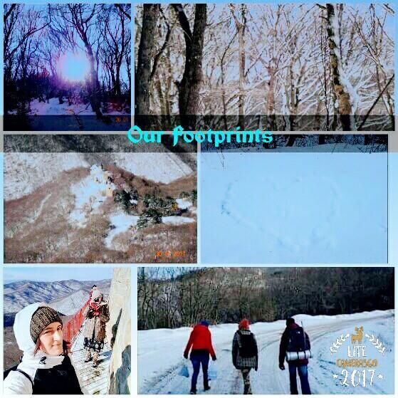 ლაშქრობა თბილისსა და მის შემოგარენში