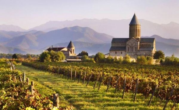 კორპორატიული კახეთის ტურები(სურვილისამებრ ღვინის ტურთან ერთად) თქვენი ორგანიზაციებისათვის და მეგობრებისათვის