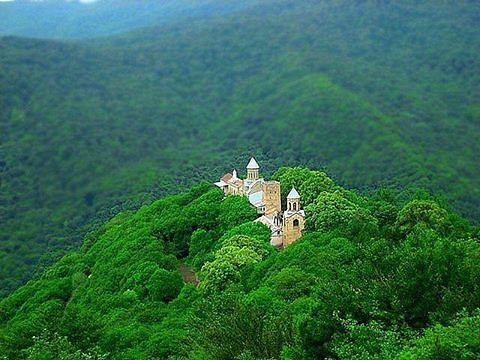 ტური კახეთში