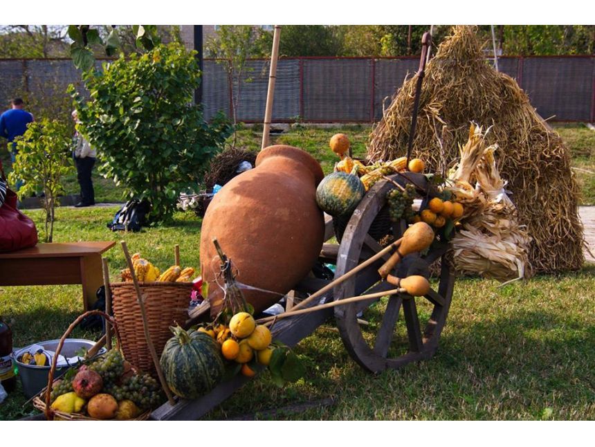 კულტურული ტური კახეთში