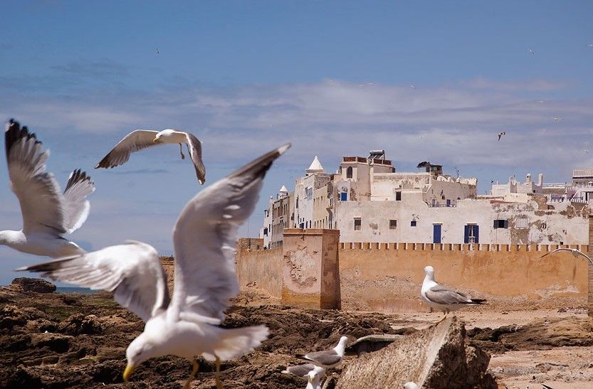 Тур по МАРОККО