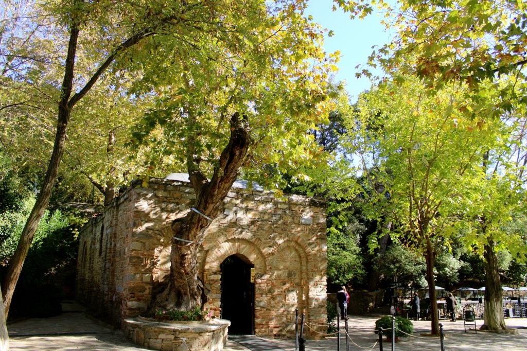 ექსკლუზიურად < ჩვენთან კუშადასი, ეფესო და სელჩუკი ერთი ტურის ფარგლებში