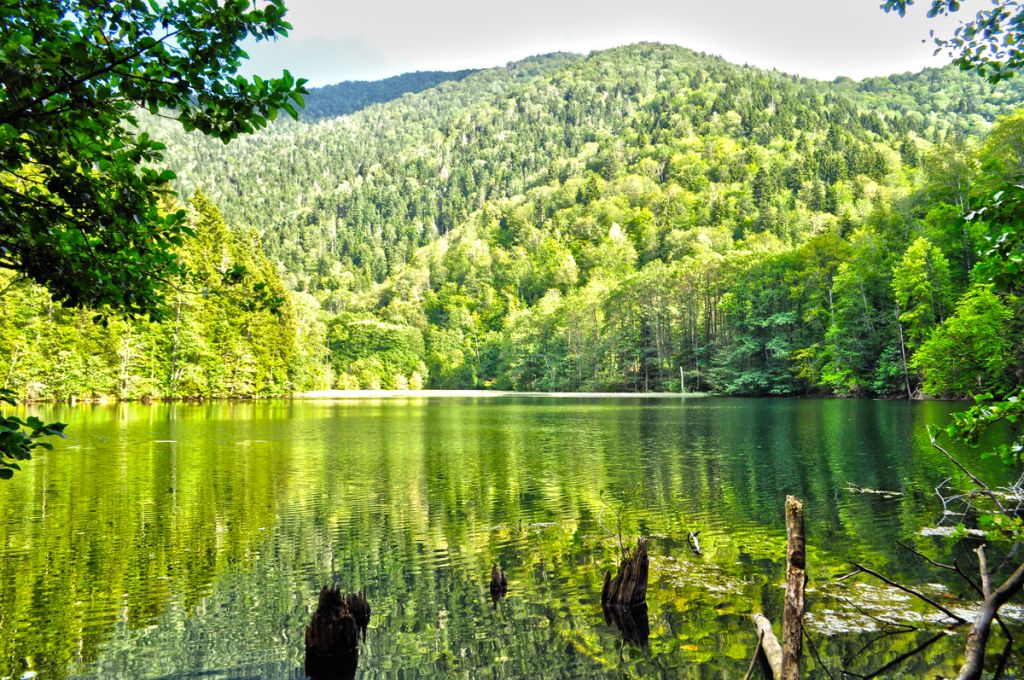 ბატეთის ტბა გაზაფხულის ფერებით