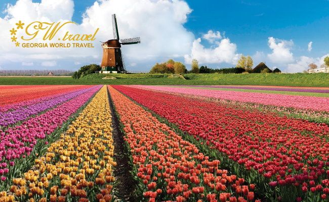 კეკენხოფის პარკი + ტრადიციული ჰოლანდია + ქარის წისქვილები