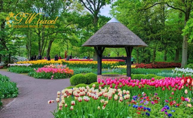 Кёкенхоф в Нидерландах + экскурсия в традиционную Голландию + ветряные мельницы