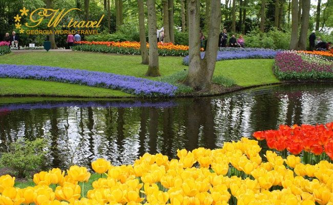 Кёкенхоф в Нидерландах + экскурсия в традиционную Голландию + ветряные мельницы