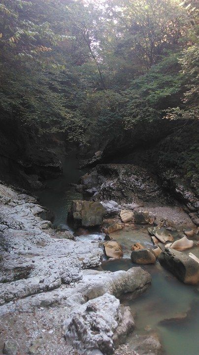 Тур по Грузии