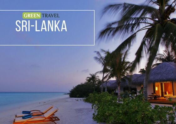 არ გამოტოვოთ სეზონის საუკეთესო ფასი შრი-ლანკას მიმართულებით!!