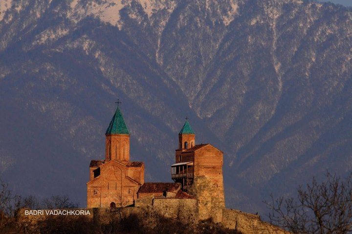 ერთდღიანი დაუვიწყარი ტური კახეთში აპრილს