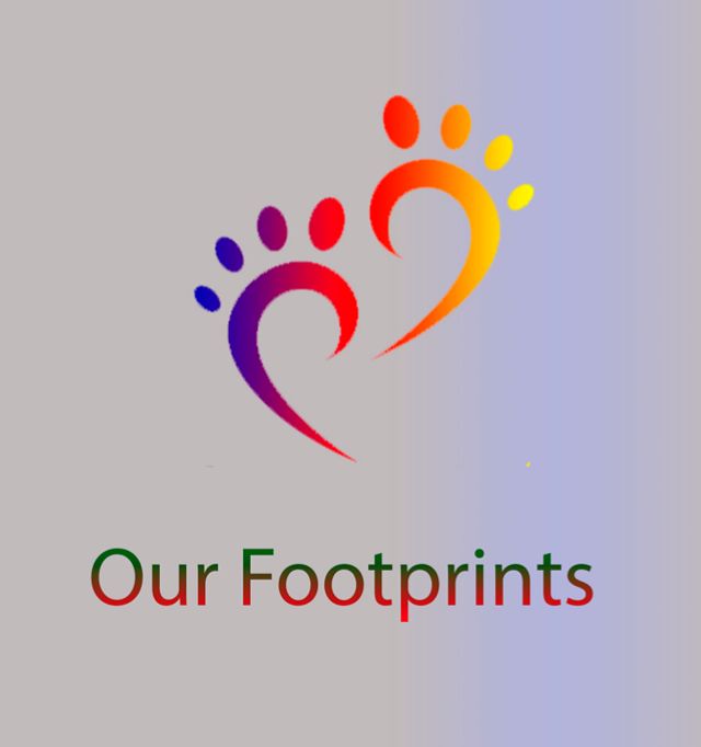 ტურისტული გიდის კურსები დასაქმებით 