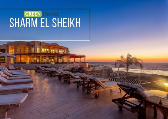 აქცია !! დაჯავშნეთ საგზური დღეს და გაემგზავრეთ მაისში დღით შარმ ელ შიხში, რჩეულ სასტუმროებში საუკეთესო ფასად !!